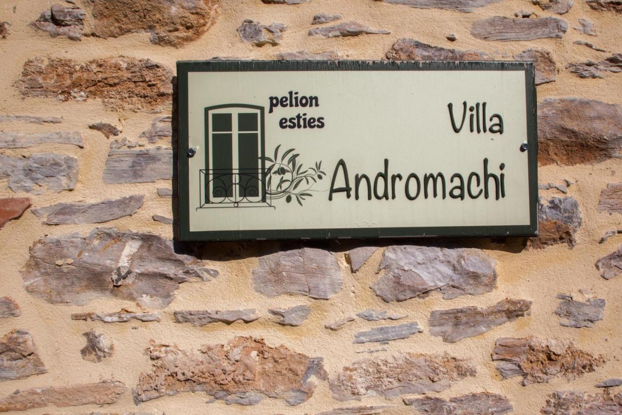 Villa Andromachi by Pelion Esties Ano Gatzea Esterno foto